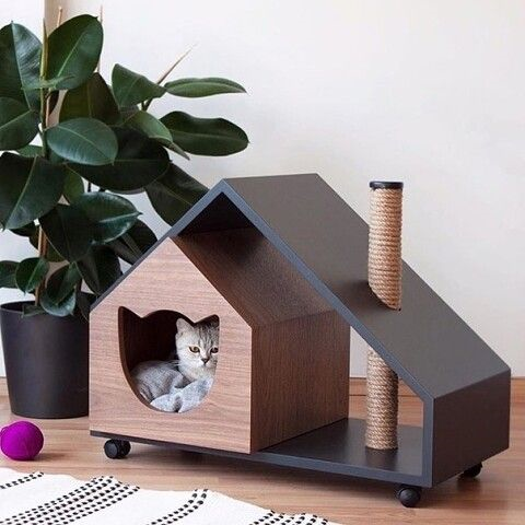 Преимущества домов для кошек